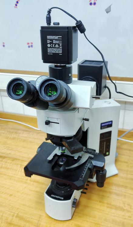 microscopio