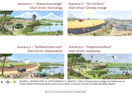 9. Doñana Escenarios