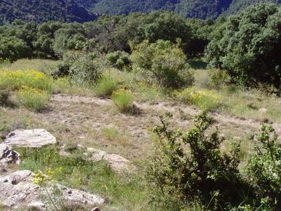SNV30828 SNV30828